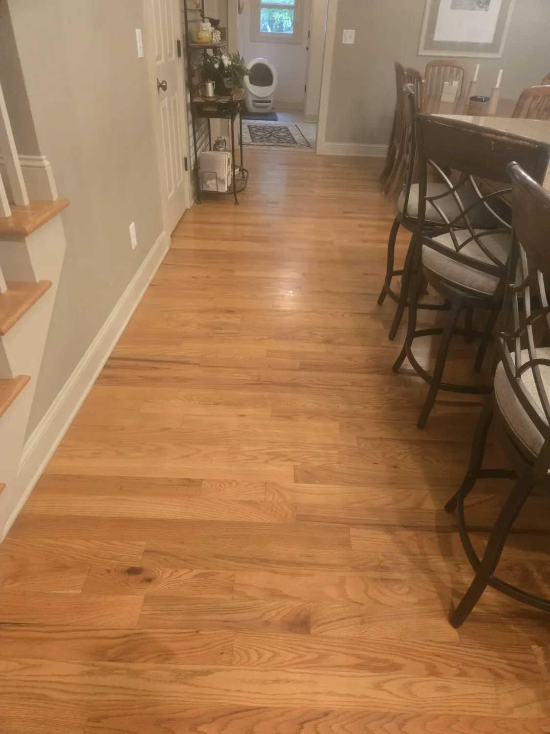 Clean hardwood floor in a dining-area walkway